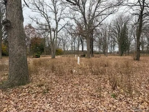 Wooded Vacant Land in Flint