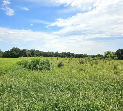 2.6 Acre Building Lot