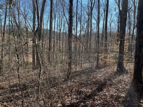 Residential Lot in Mountain Harbour