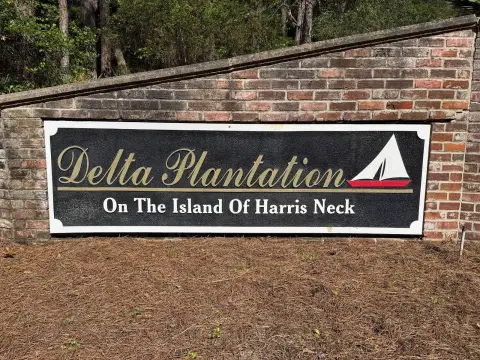 Coastal Georgia Land Opportunity
