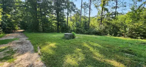 Versatile Acreage Near Texas/Louisiana Border