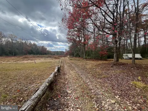 Wooded Hunting Land