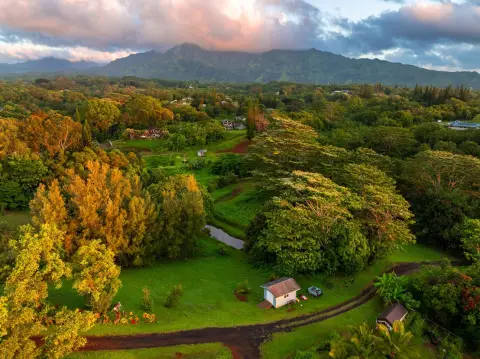 Lush Hillside Property with Stream
