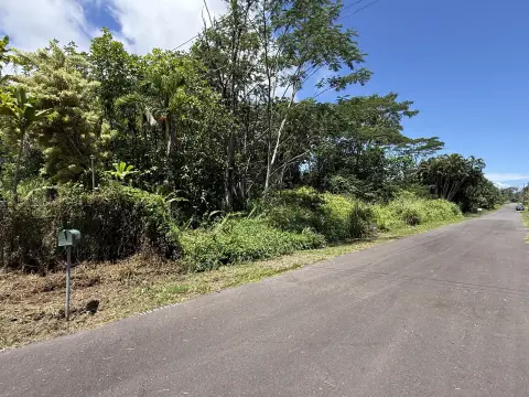 Vacant Land in Hawaiian Shores