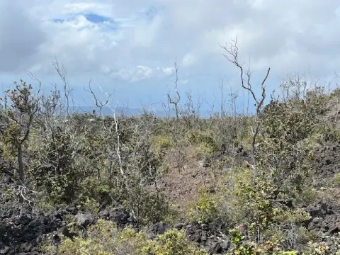 One Acre Lot in Hawaii