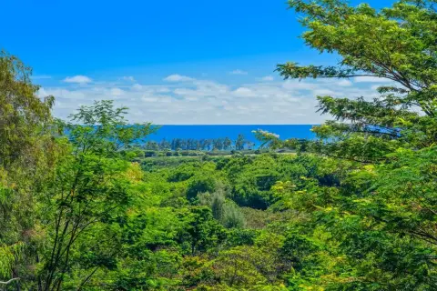 Agricultural Land with Ocean Views