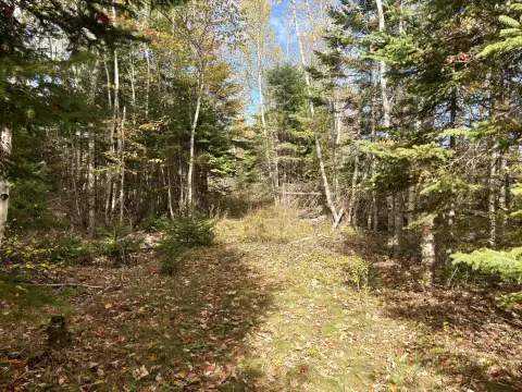 Perry, ME Land For Sale