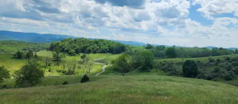 Vacant Land with Livestock Fencing