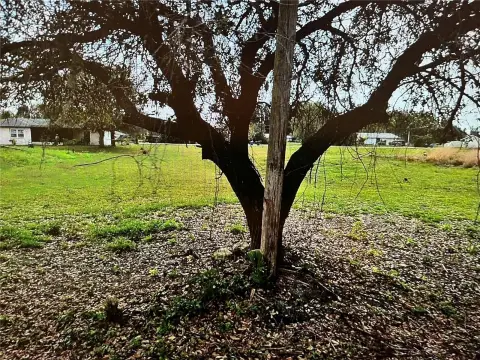 Residential Land in North Port