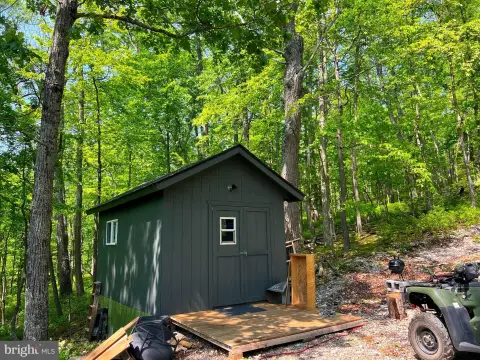 Wooded Hunting and Recreation Tract