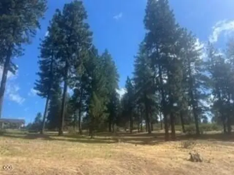Residential Lot with Mature Pines