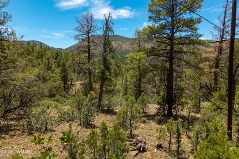 Mountain Recreation Land Lot