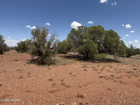 Ranch Land with Well Potential