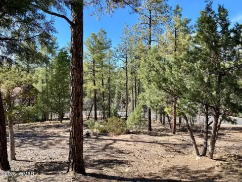 Residential Home-Building Lot