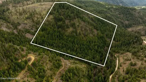 Waterfront Timber Land with Creek