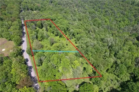 Wooded Land in Oneonta, NY