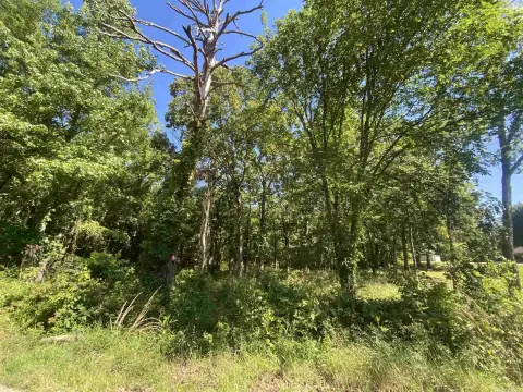 Mount Ida Vacant Land