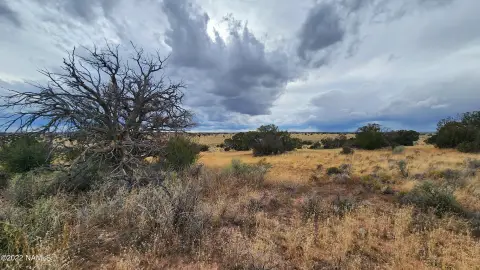 76 Acres in Four Hills Ranch
