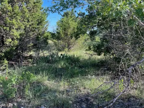 Residential Land in Ranger, Texas