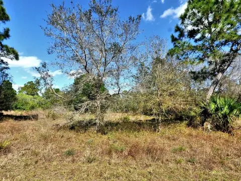 Residential Land in North Port