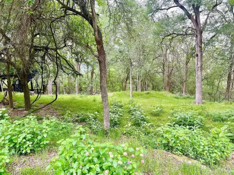 La Grange Homesite with Trees