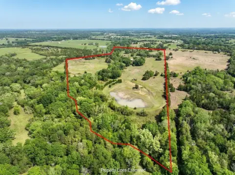 Bellville Farm-Ranch Estate on Acres