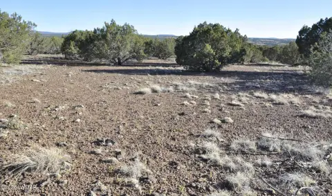 Fenced Agricultural Land Tract