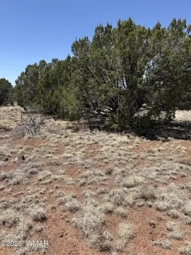 Recreation Land Tract
