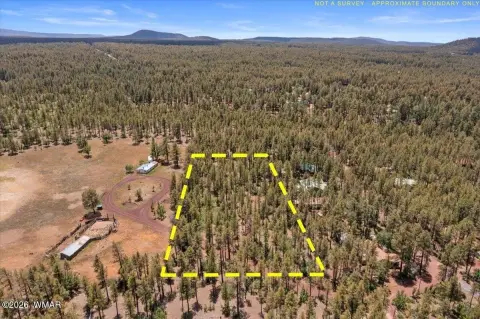Wooded Residential Land Parcel