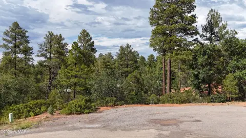 Wooded Residential Homesite