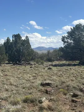 Secluded Recreation Land Parcel