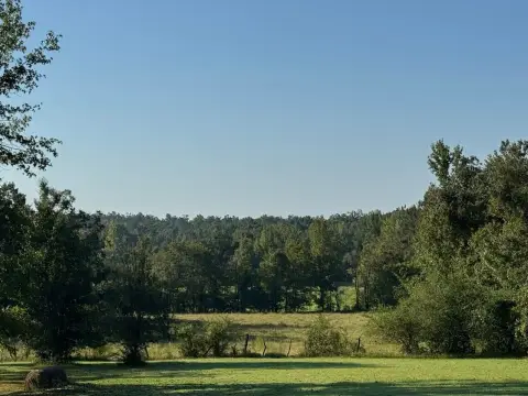 Agricultural Land with Creek