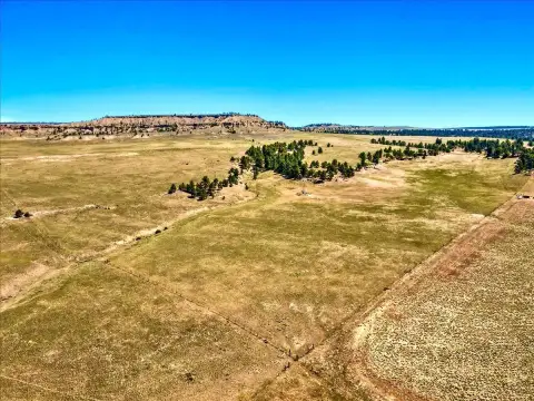 Vacant Hunting and Ranch Land