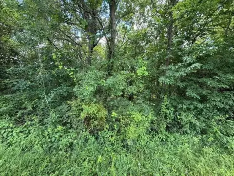 Wooded Hunting and Recreation Land