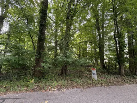 Wooded Land Parcel