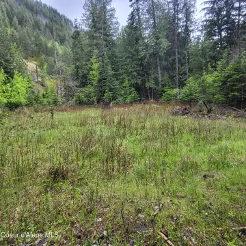 Recreational Land Near Lake Pend