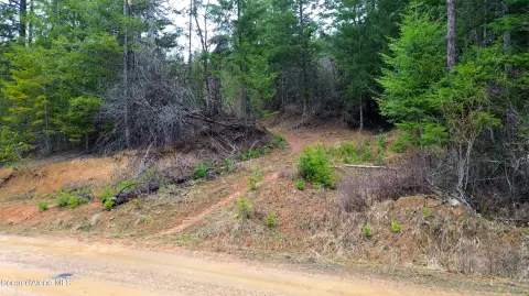 Treed Acres in St. Maries