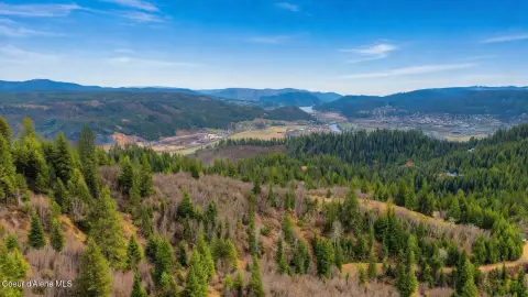 Treed Land Parcel with Building Site