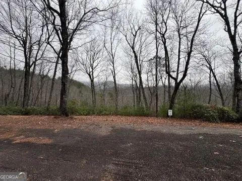 Hiawassee Land with Mountain Views