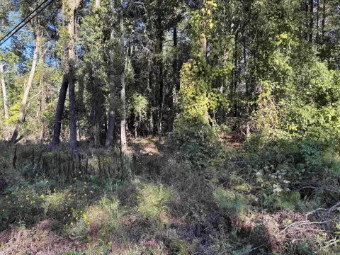 Residential Lot in Sheridan, AR