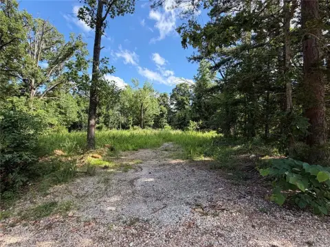 Part Cleared Wooded Homesite Land