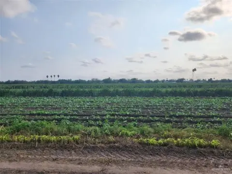 Agricultural Land Development Site