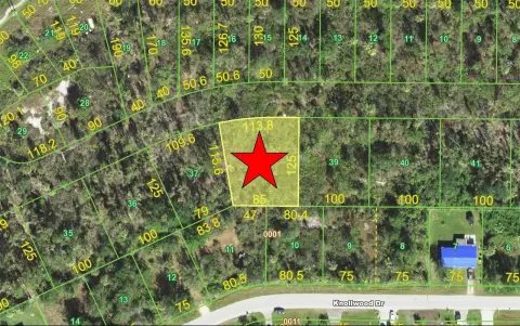 Punta Gorda Vacant Land
