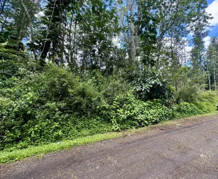 Vacant Residential Lot in Nanawale Estates