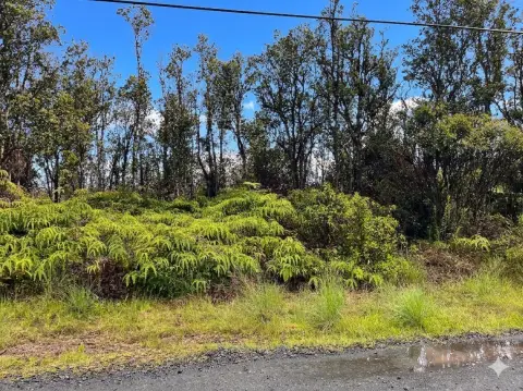 Fern Forest 3-Acre Land Parcel