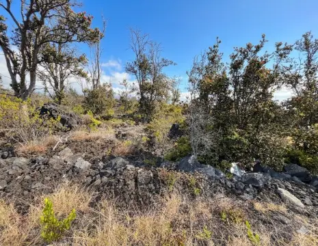 Ocean View Acreage for Off-Grid