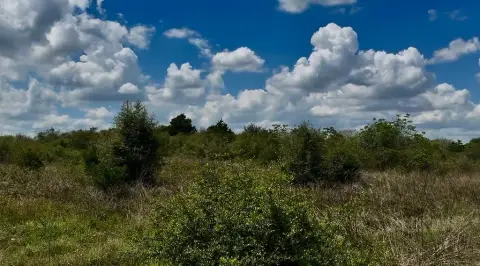 Sealy Land With Development Potential