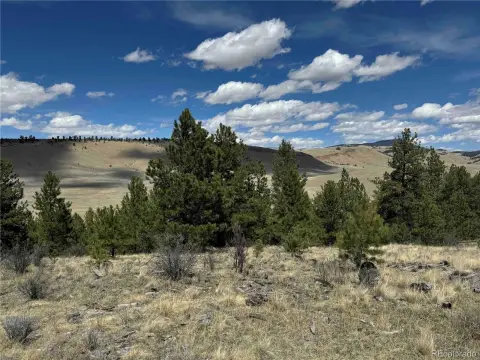 20 Acres of Mountain Land