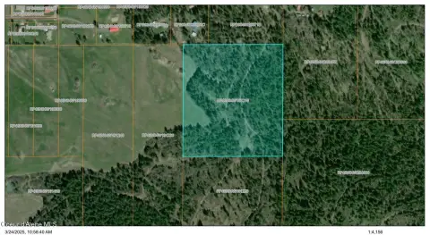 Forested Residential Land Parcel