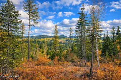 40 Acres in Careywood, ID